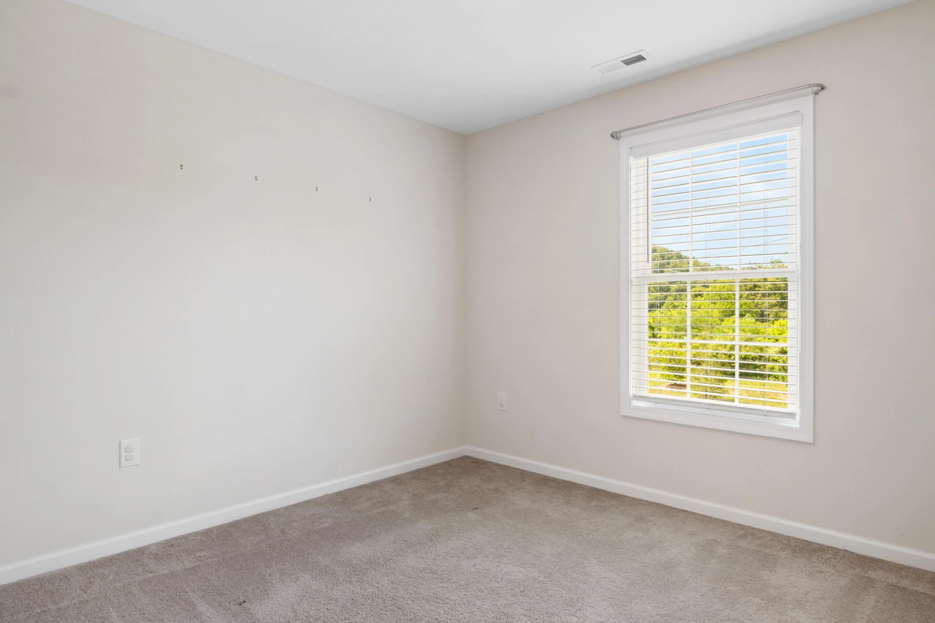 235 Louise LN - Photo 27