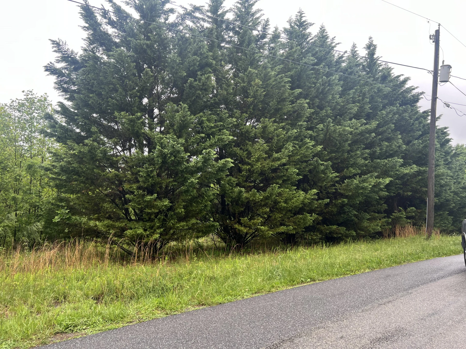 0 Nemmo RD - Photo 2