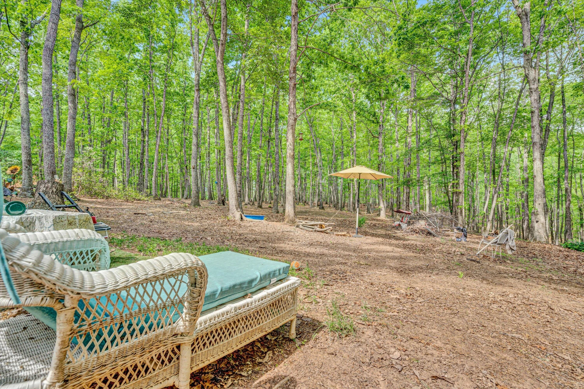 1393 Deepwoods RD - Photo 32