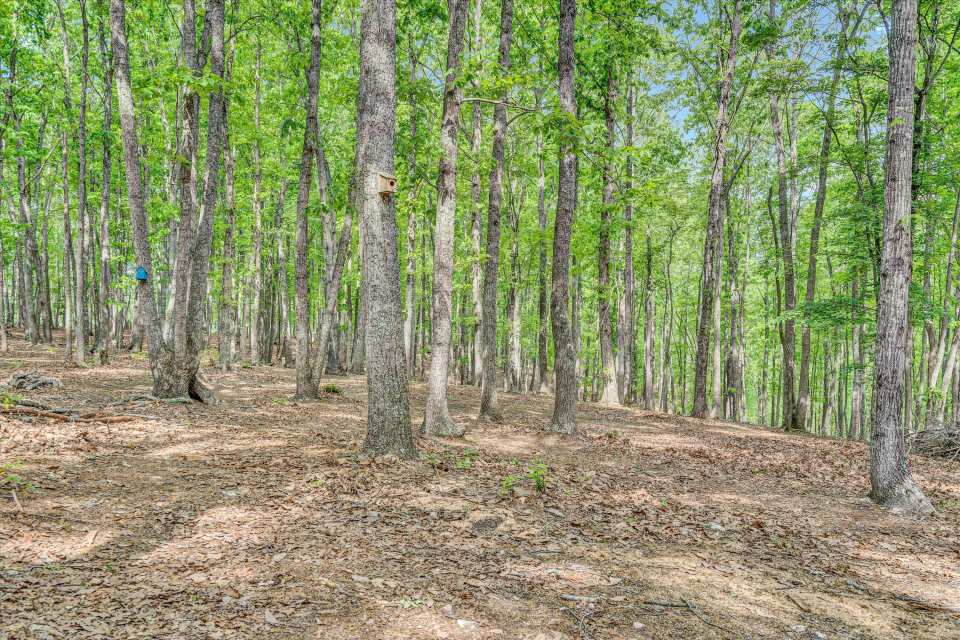 1393 Deepwoods RD - Photo 36