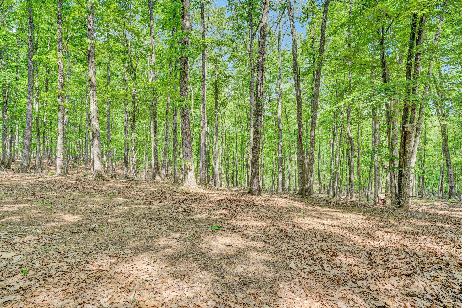 1393 Deepwoods RD - Photo 37