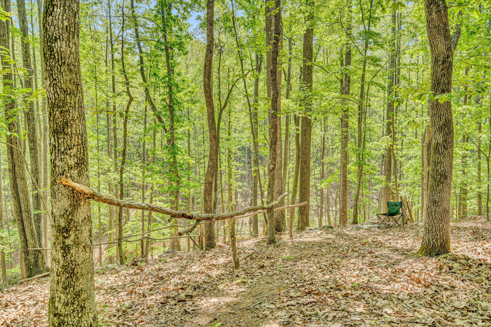 1393 Deepwoods RD - Photo 39