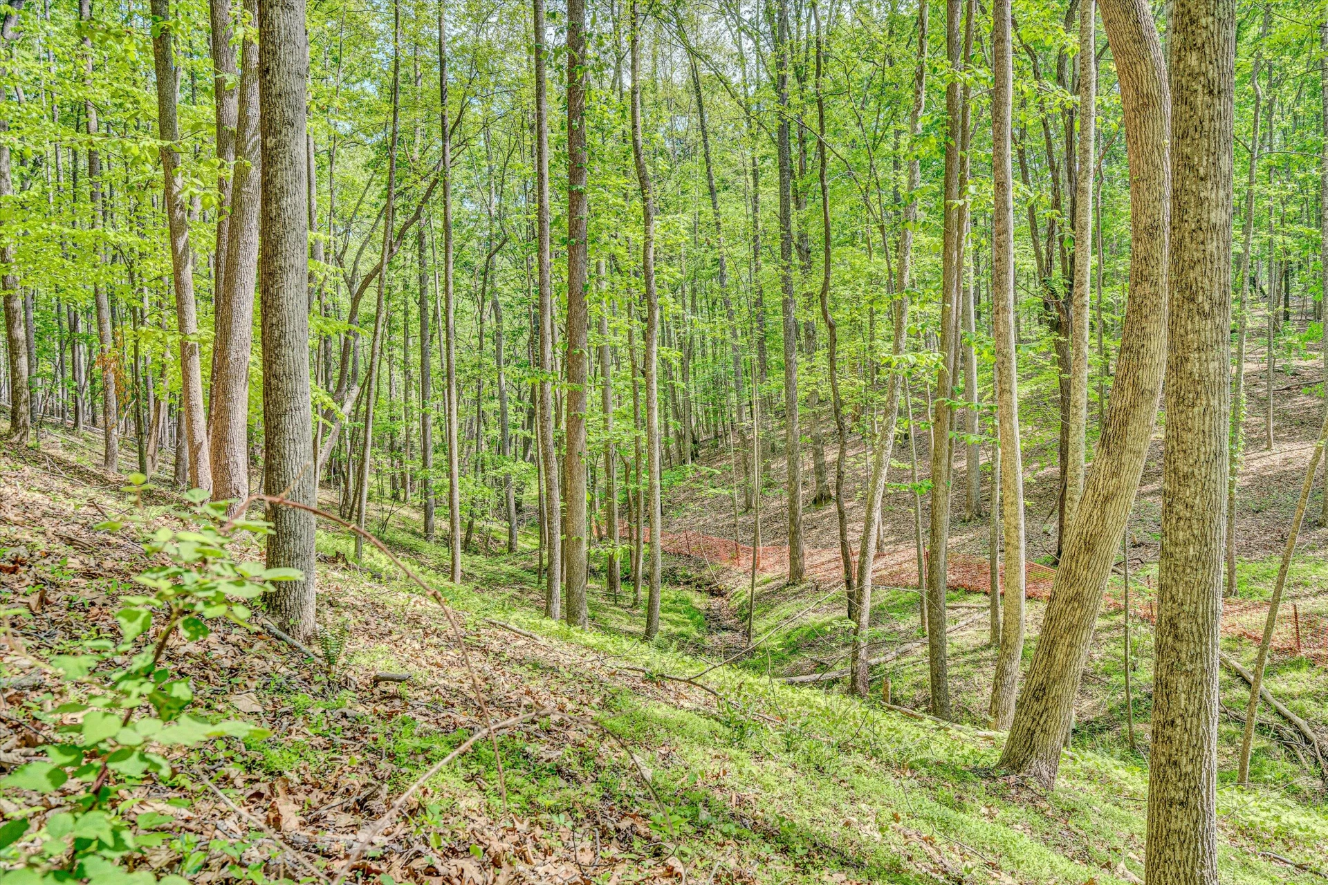 1393 Deepwoods RD - Photo 40