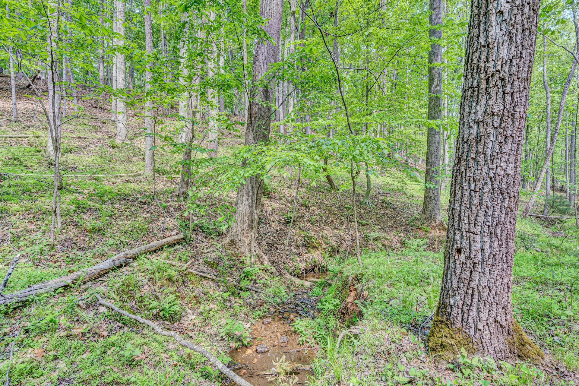 1393 Deepwoods RD - Photo 41