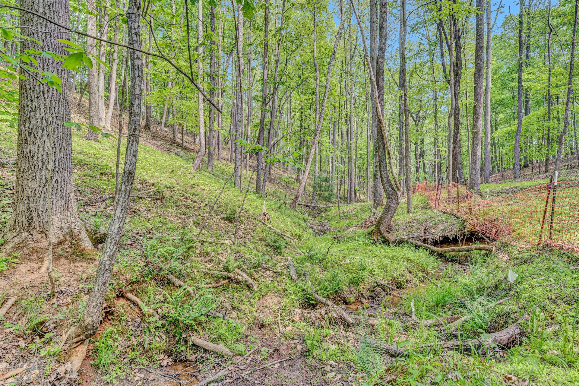 1393 Deepwoods RD - Photo 42