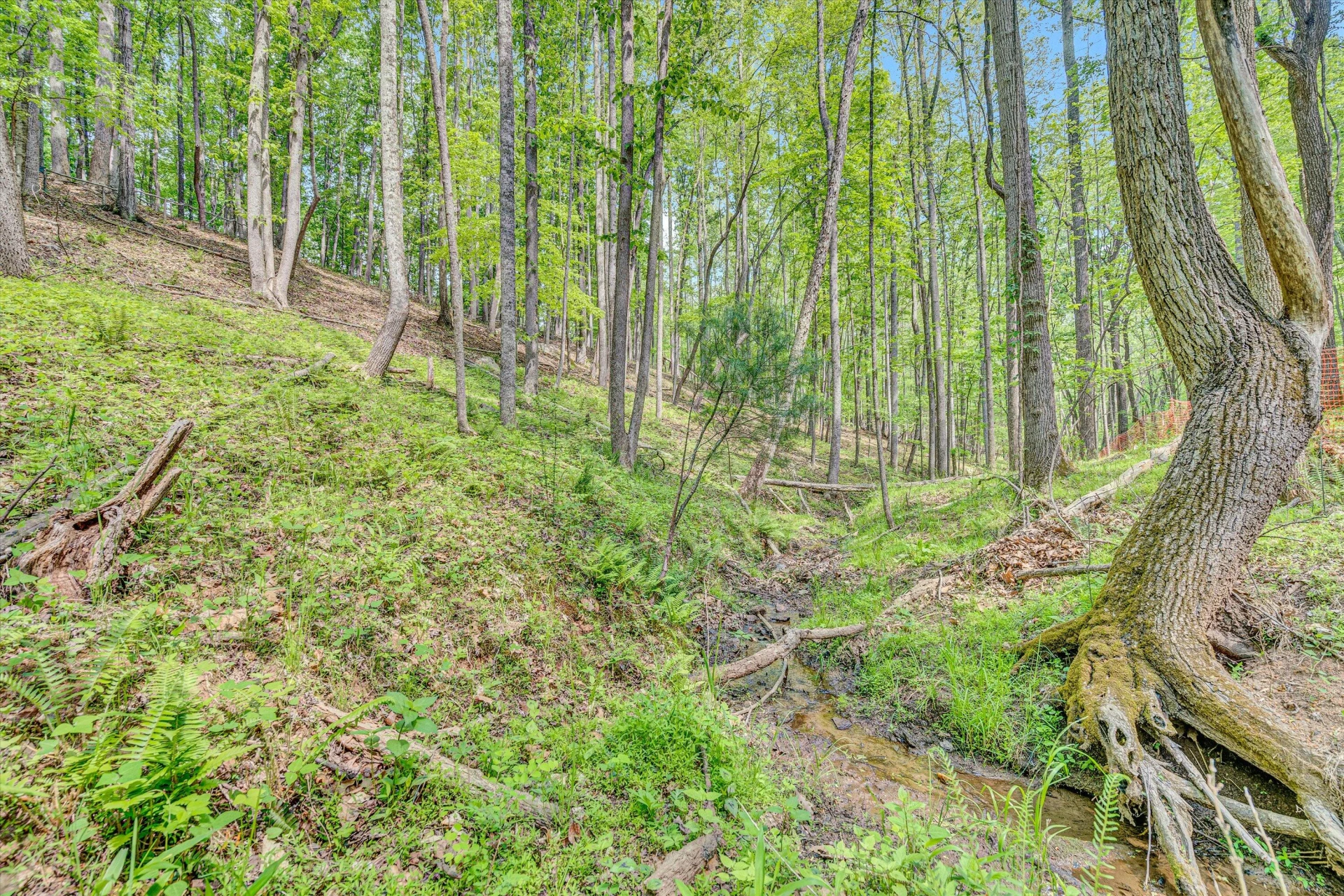 1393 Deepwoods RD - Photo 43