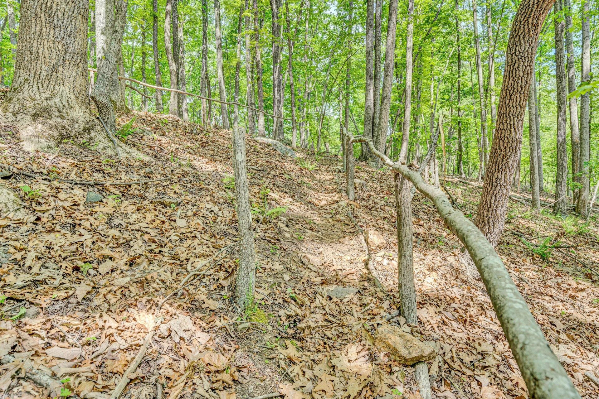 1393 Deepwoods RD - Photo 44