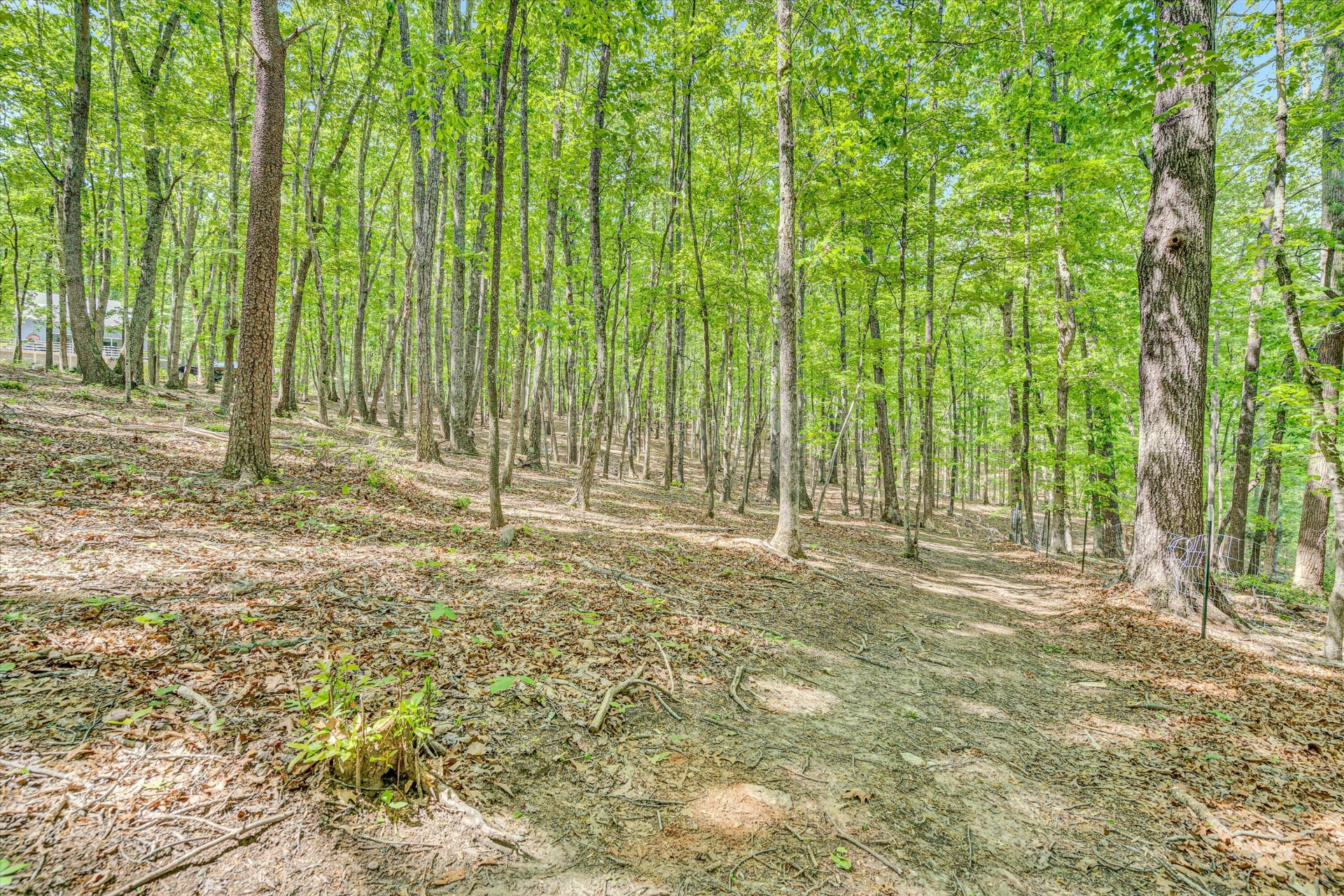 1393 Deepwoods RD - Photo 46