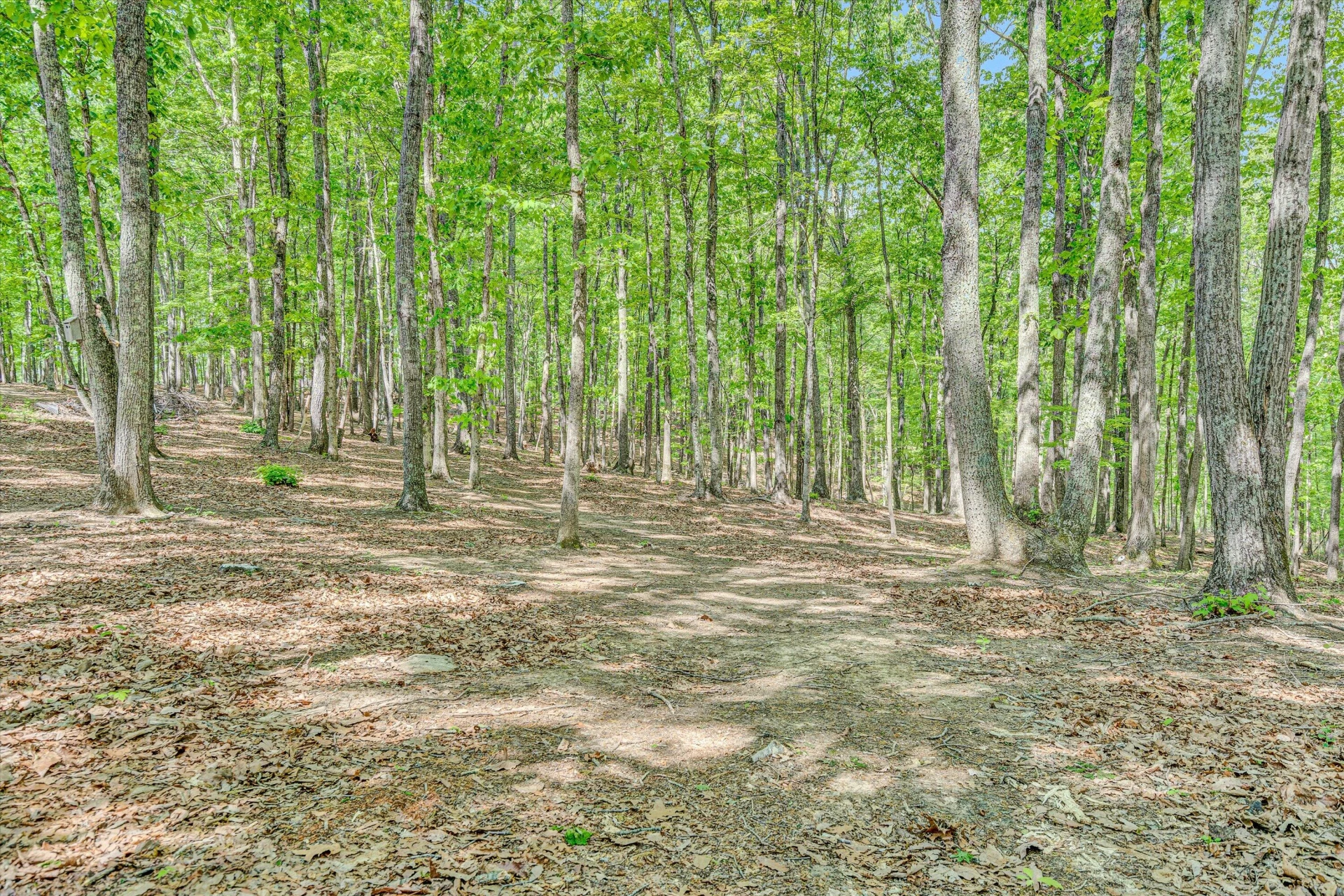 1393 Deepwoods RD - Photo 47