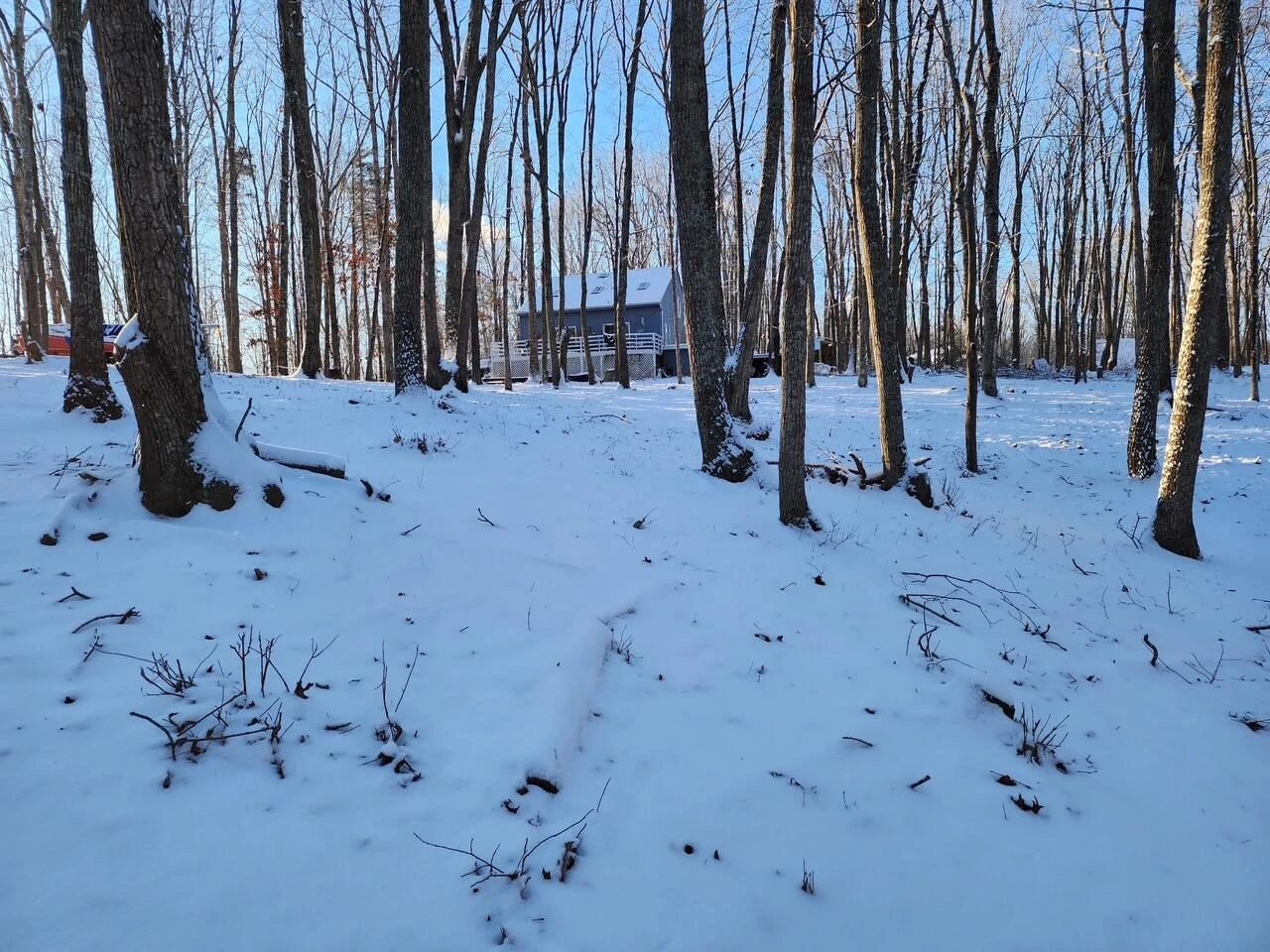 1393 Deepwoods RD - Photo 58
