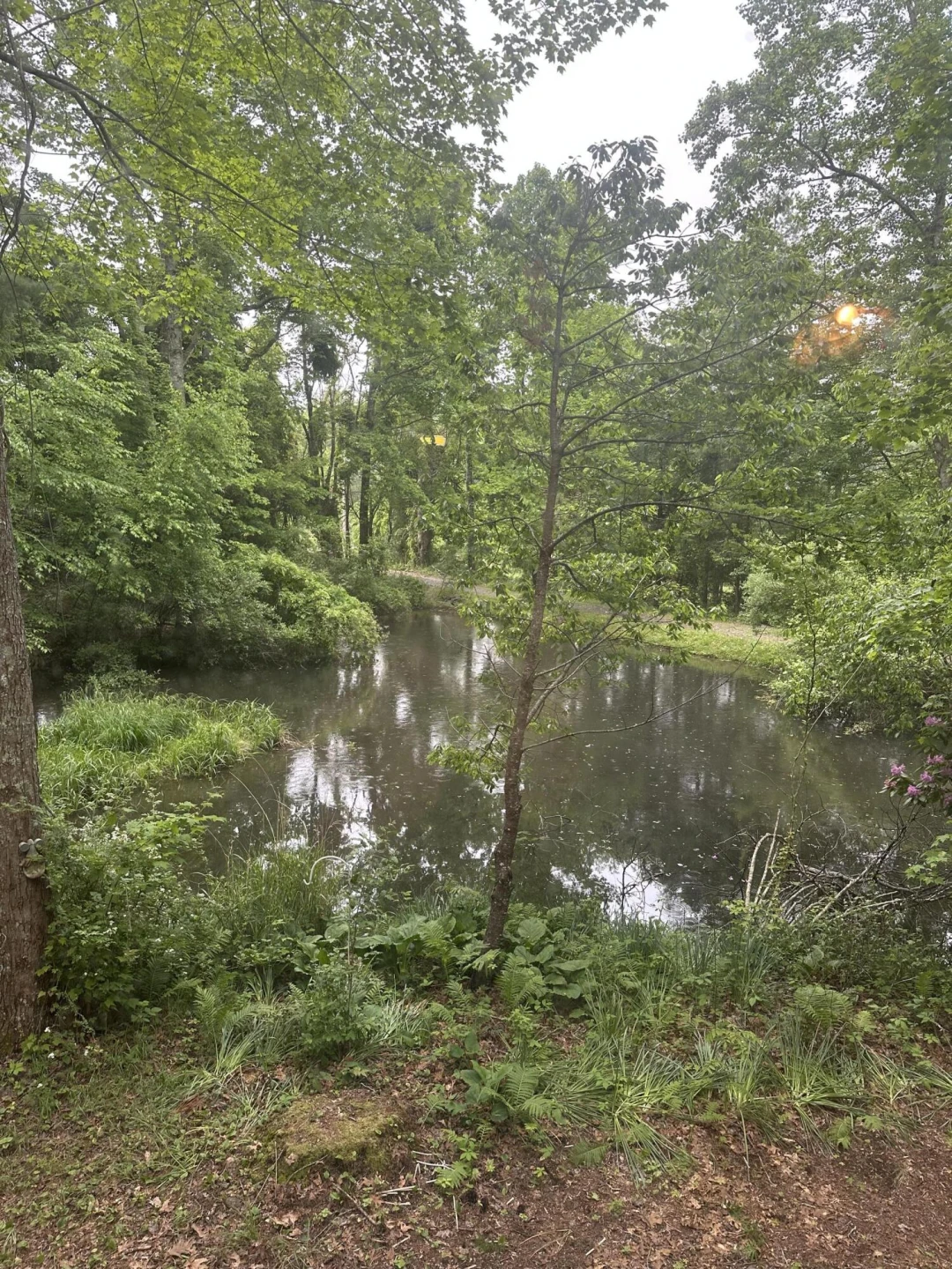281 Poff DR - Photo 13
