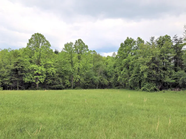 Lot 4 Franklin Pike, Floyd, VA, 24091