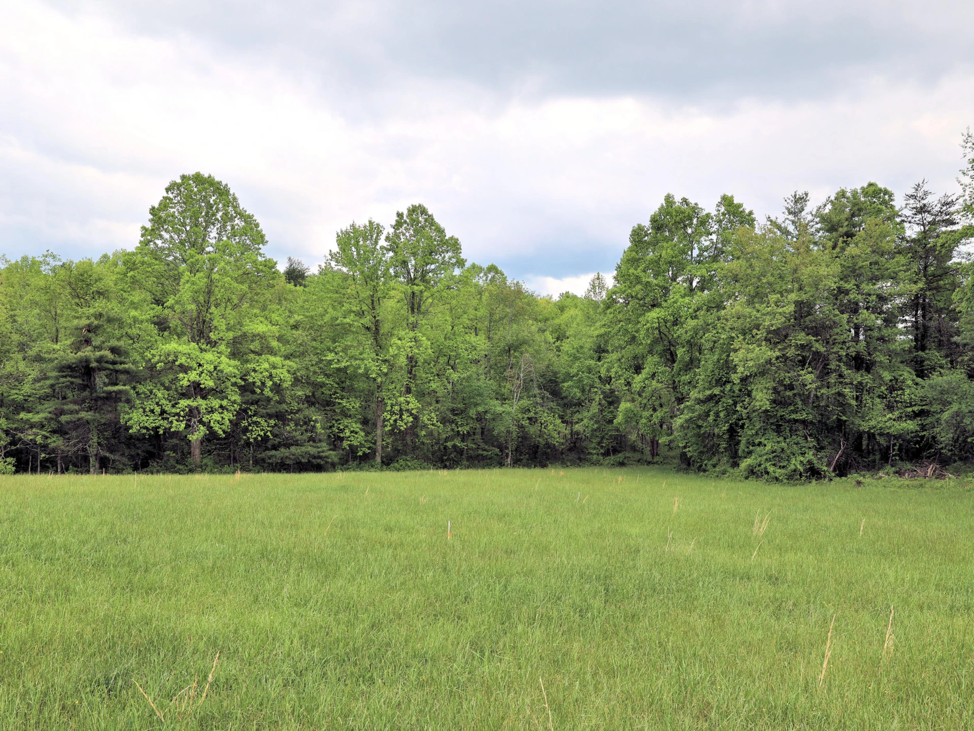Lot 4 Franklin Pike