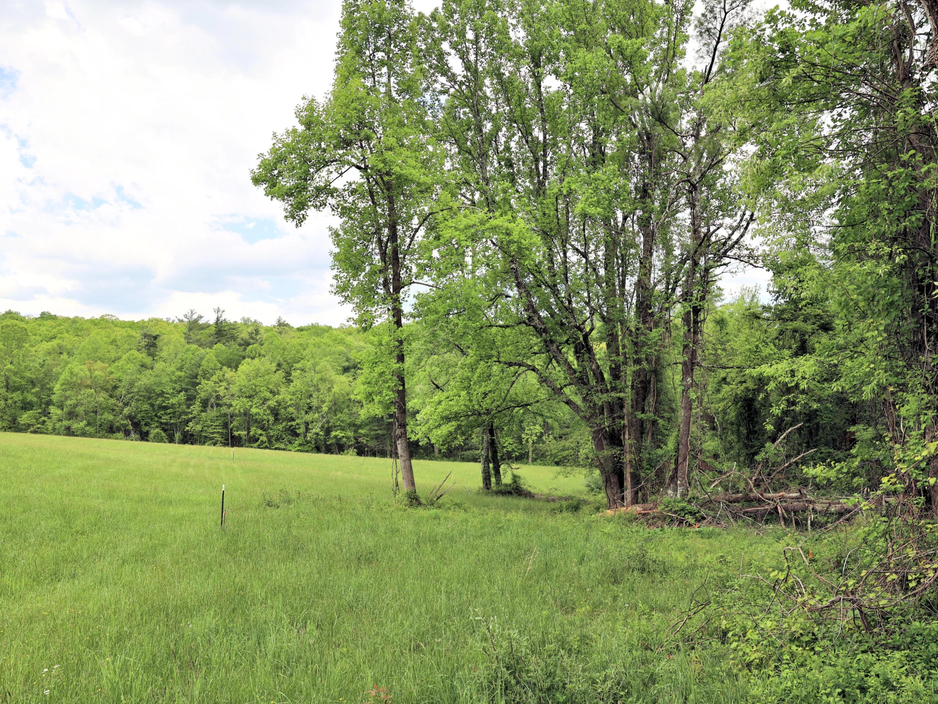 Lot 4 Franklin Pike - Photo 10
