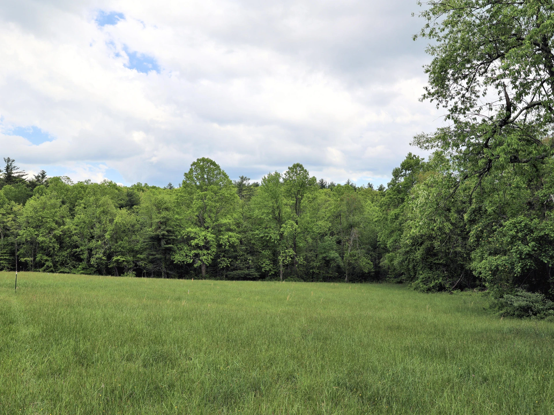Lot 4 Franklin Pike - Photo 11