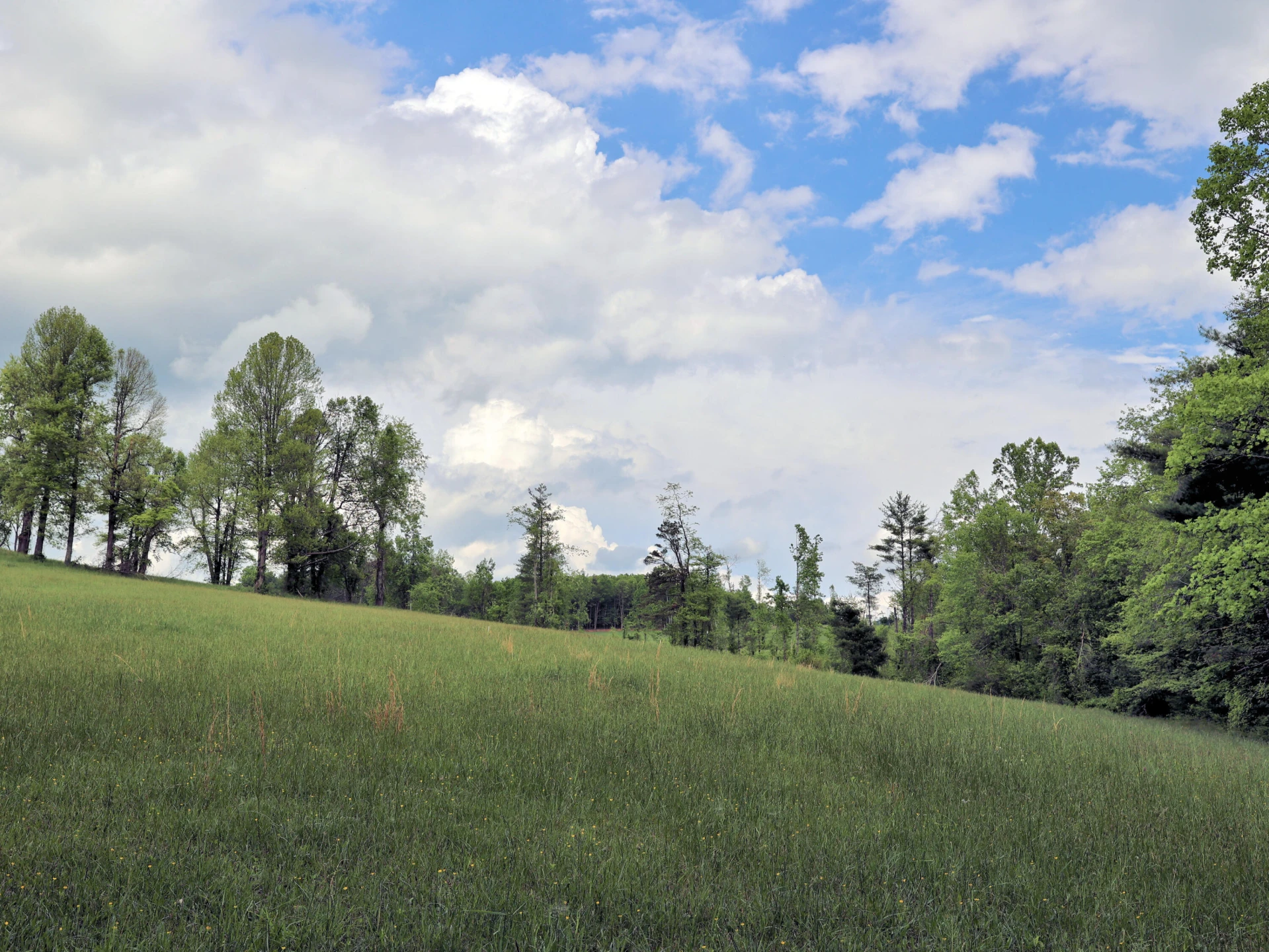 Lot 4 Franklin Pike - Photo 16