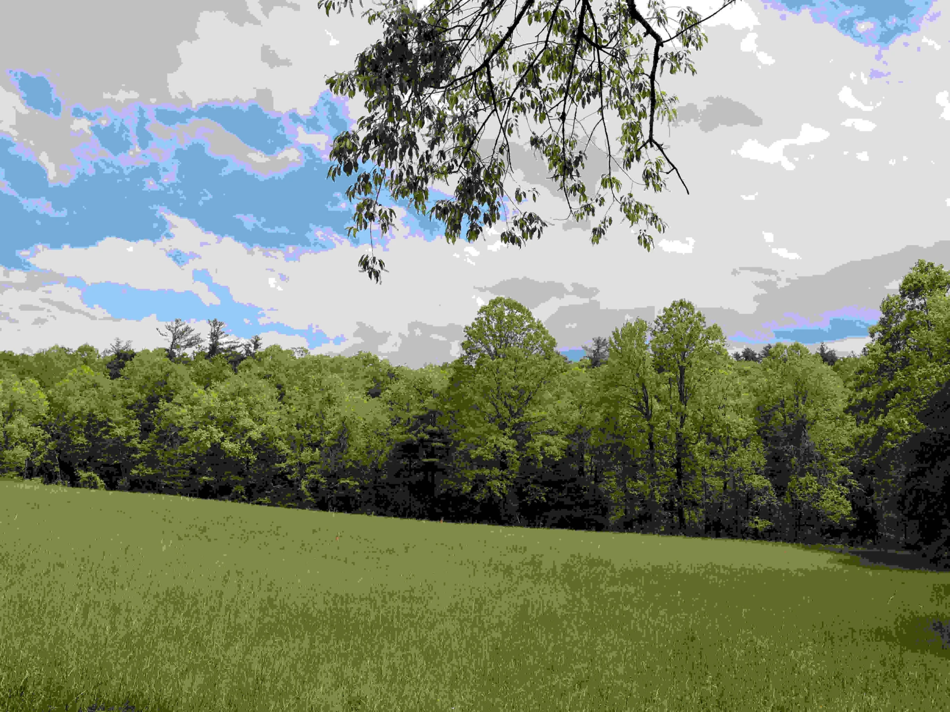 Lot 4 Franklin Pike - Photo 20