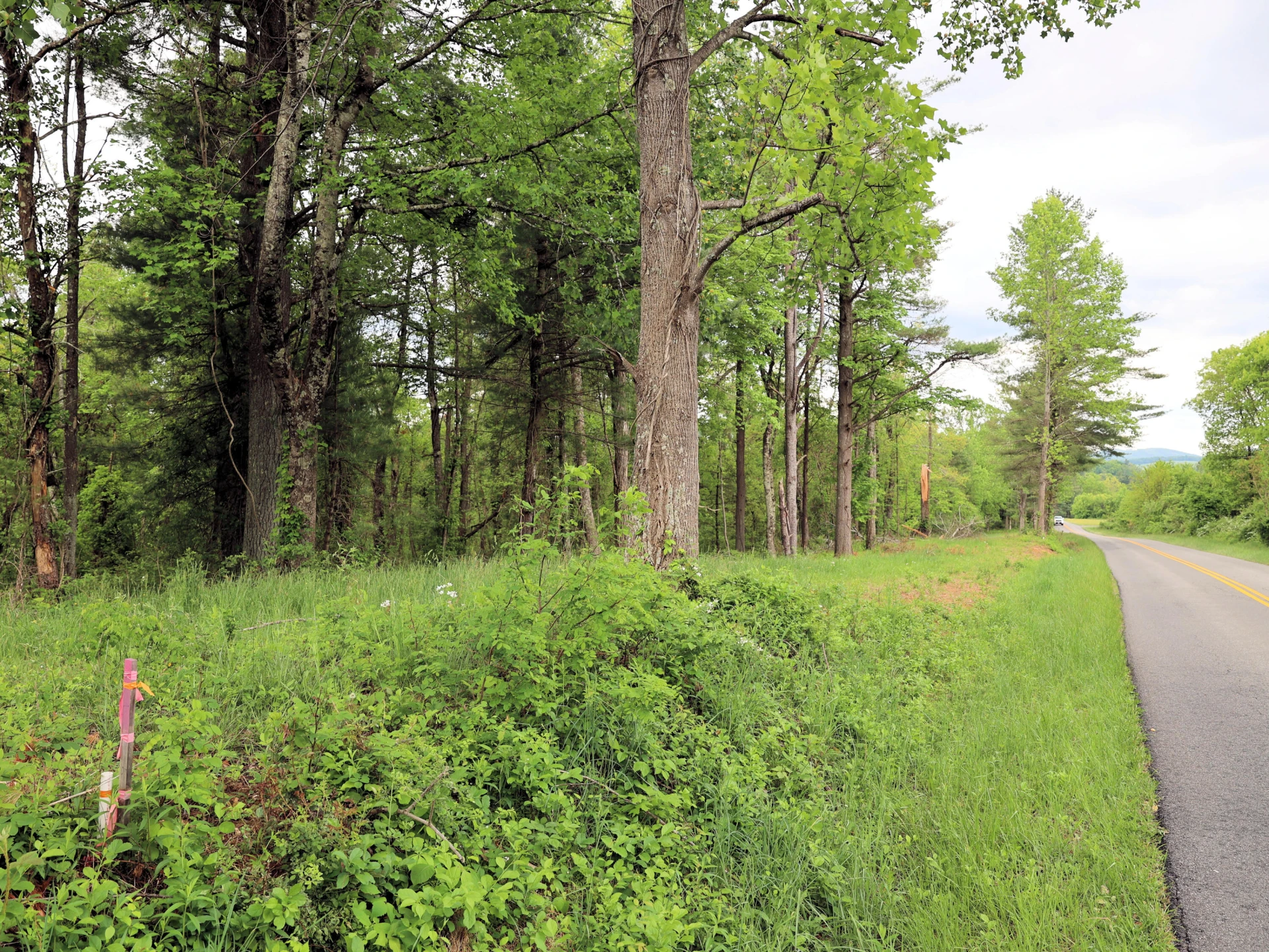 Lot 4 Franklin Pike - Photo 3