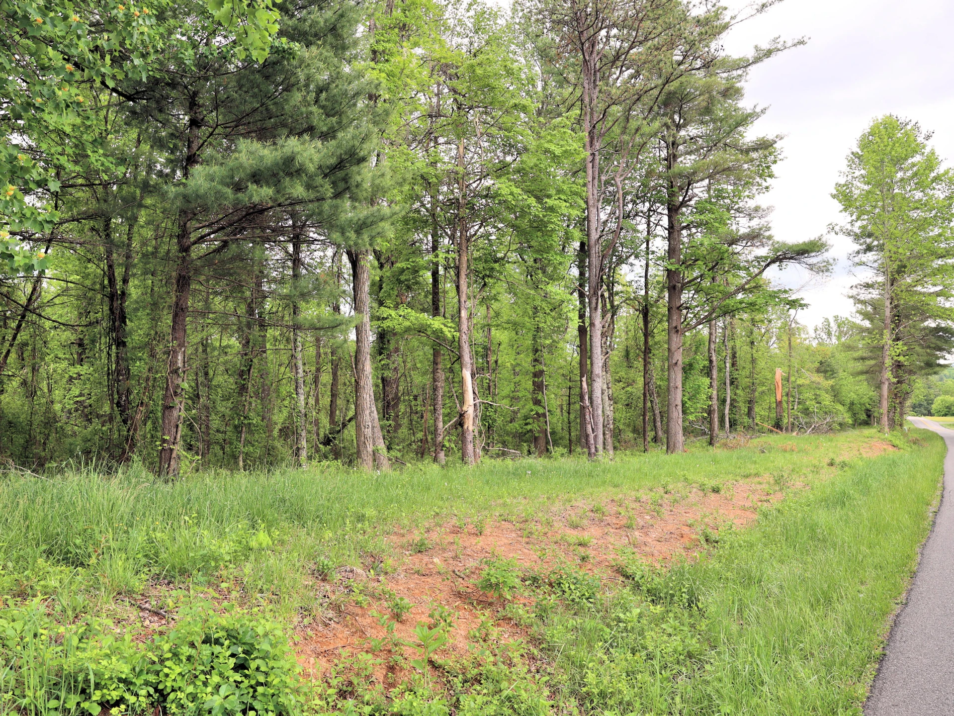 Lot 4 Franklin Pike - Photo 5