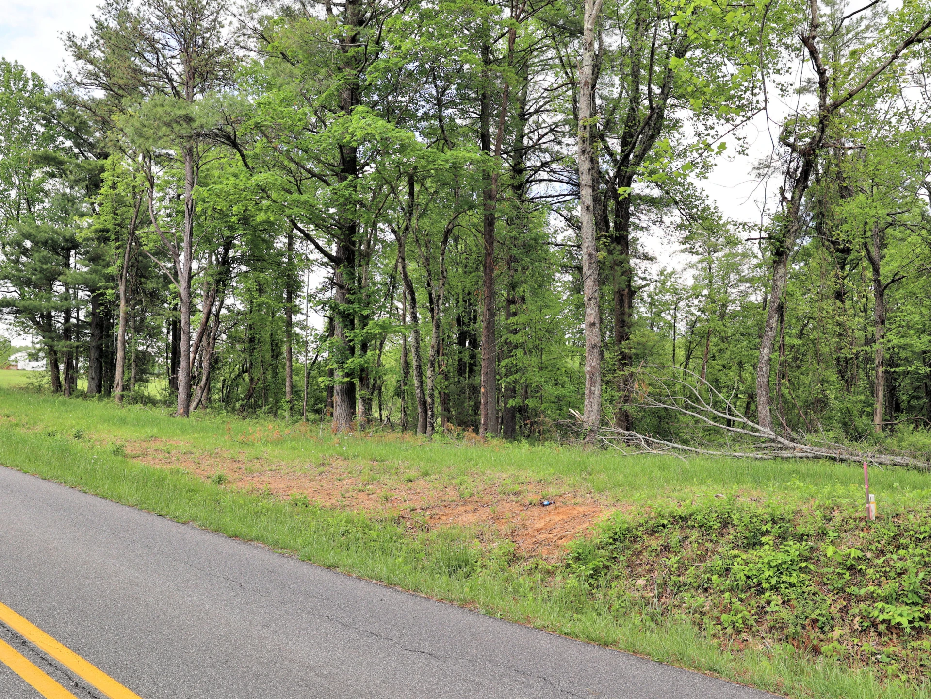 Lot 4 Franklin Pike - Photo 6