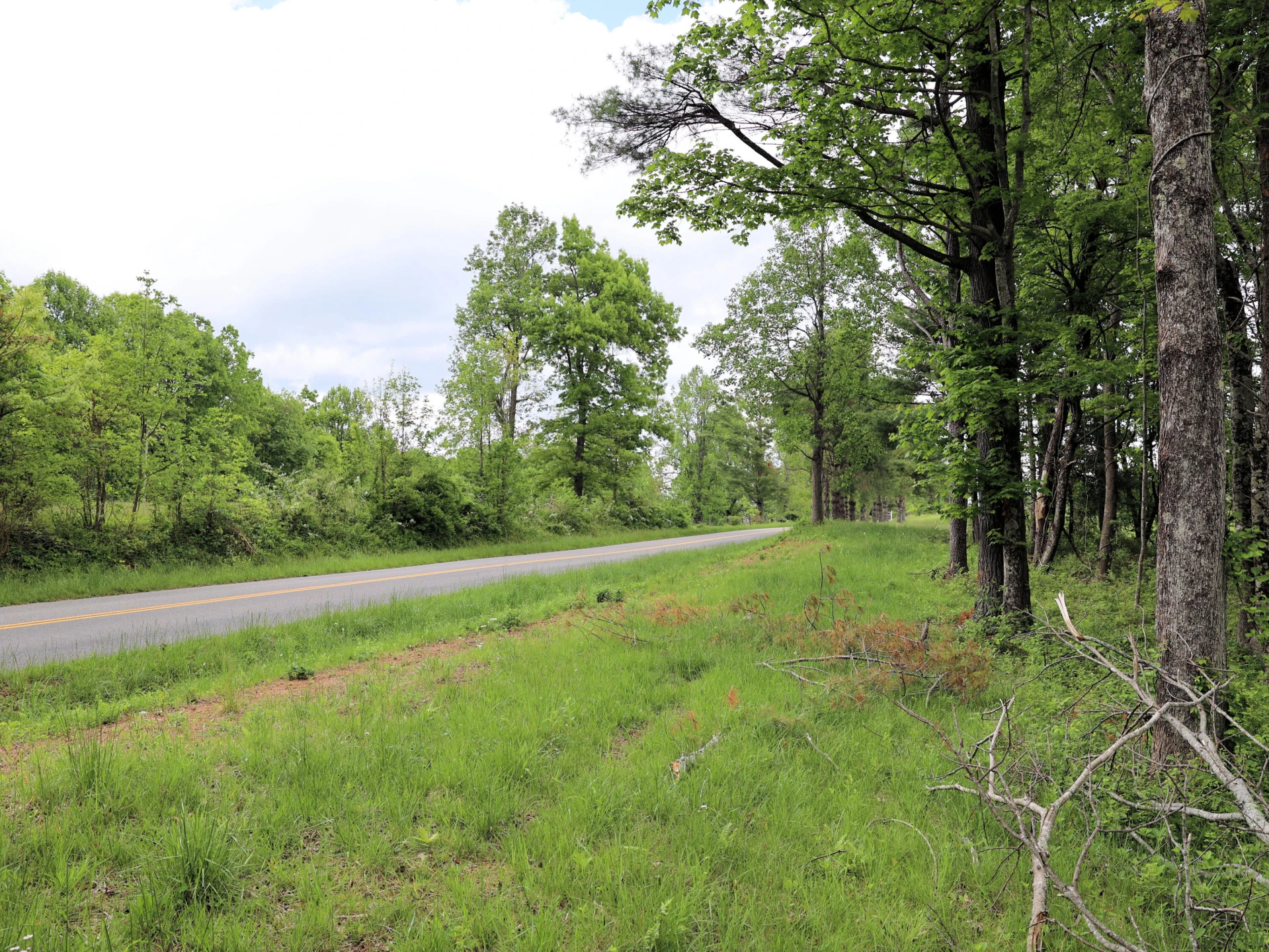 Lot 4 Franklin Pike - Photo 8