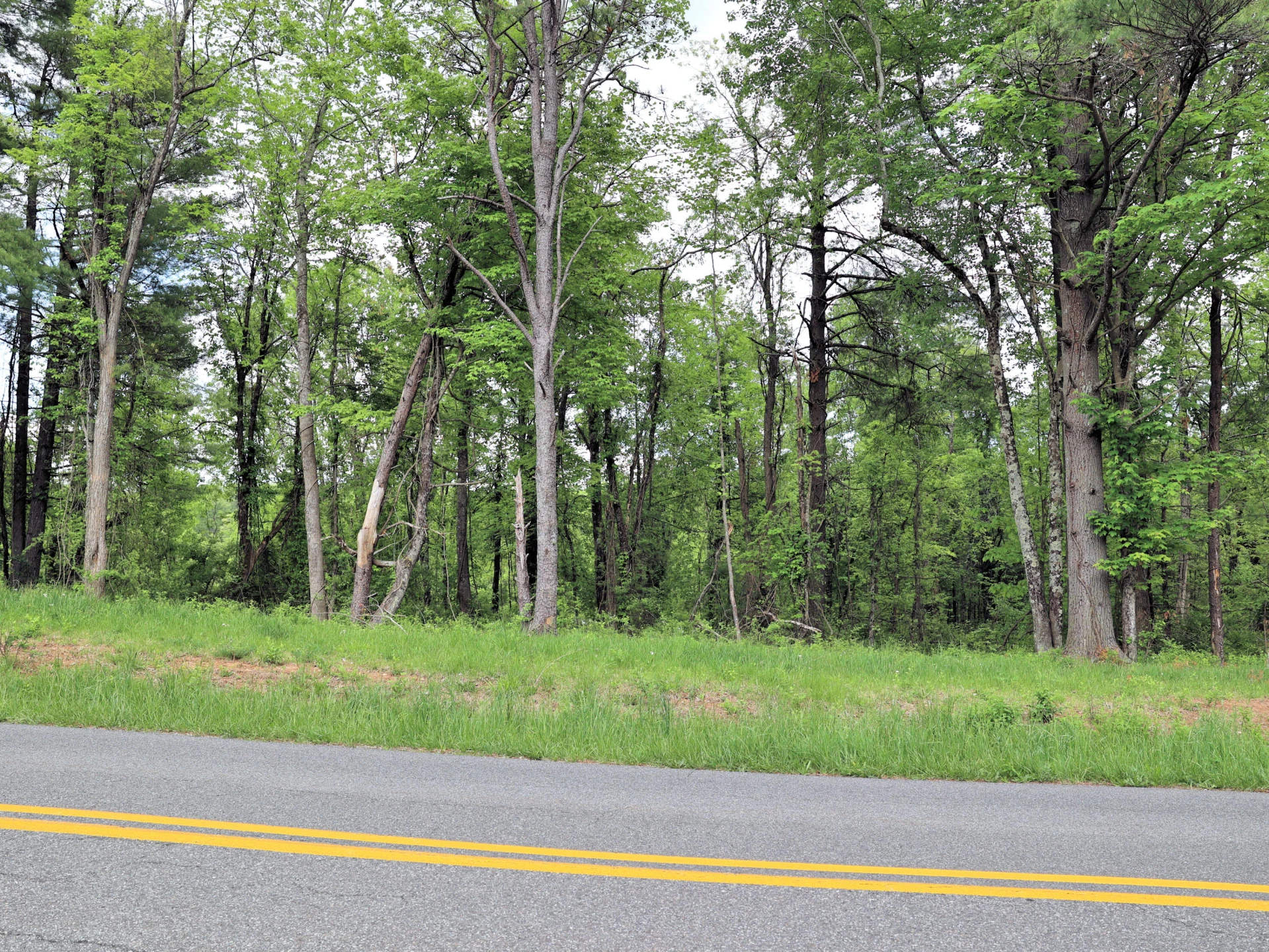 Lot 4 Franklin Pike - Photo 9