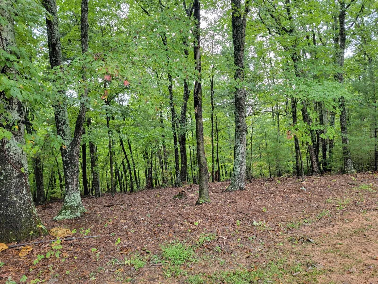 640 Cooks Knob RD - Photo 48