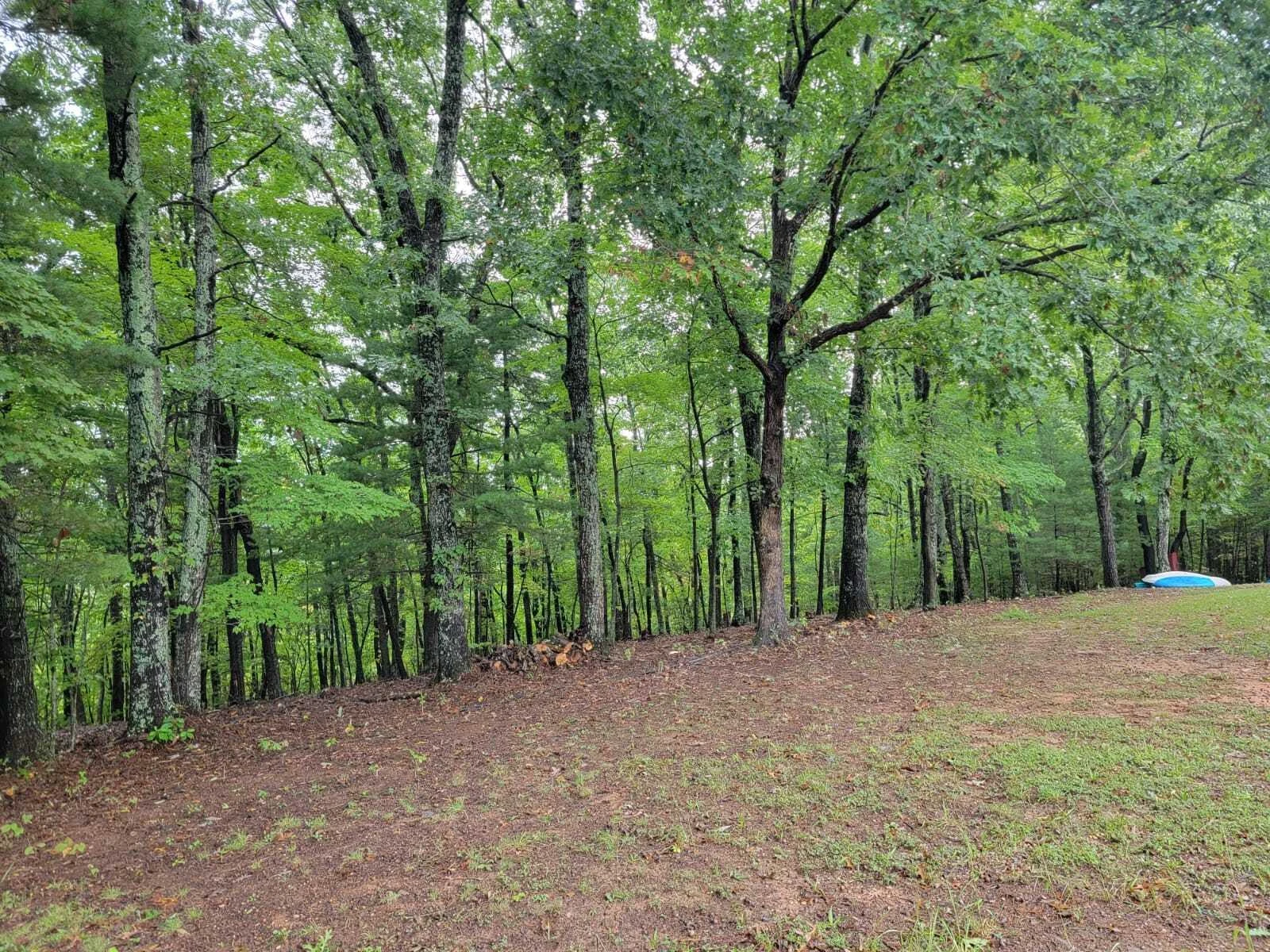 640 Cooks Knob RD - Photo 49