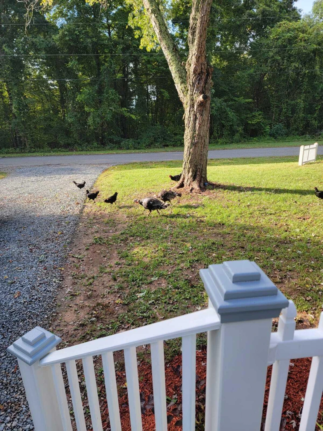 640 Cooks Knob RD - Photo 50