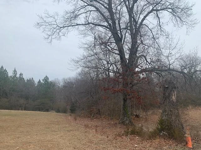 0 Shingle Block RD - Photo 2