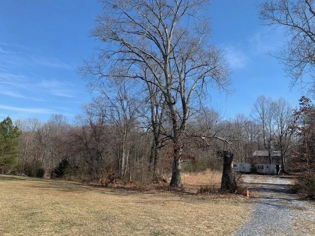 0 Shingle Block RD - Photo 3