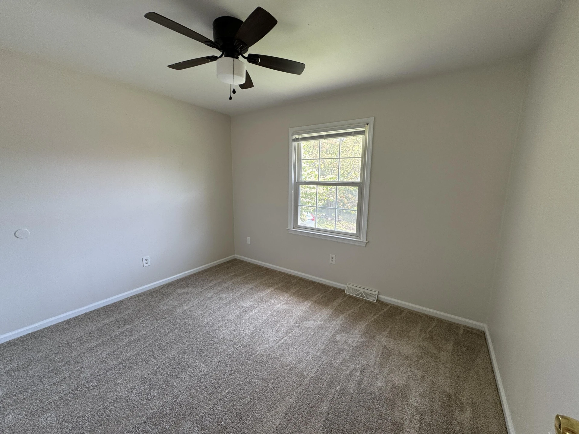 4656 Trevino CIR - Photo 15
