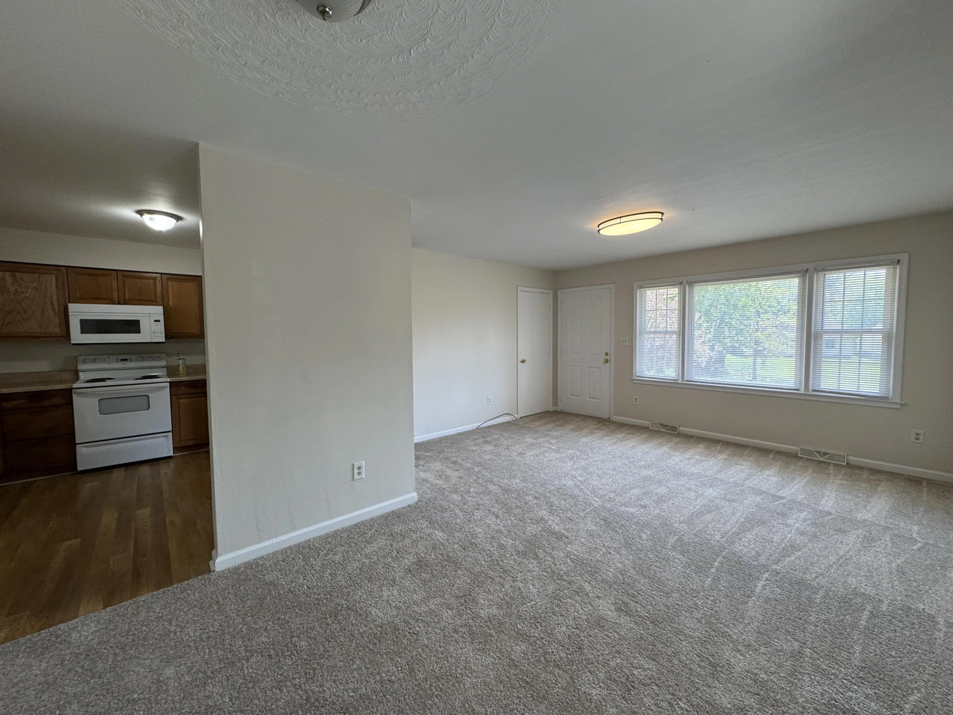 4656 Trevino CIR - Photo 5