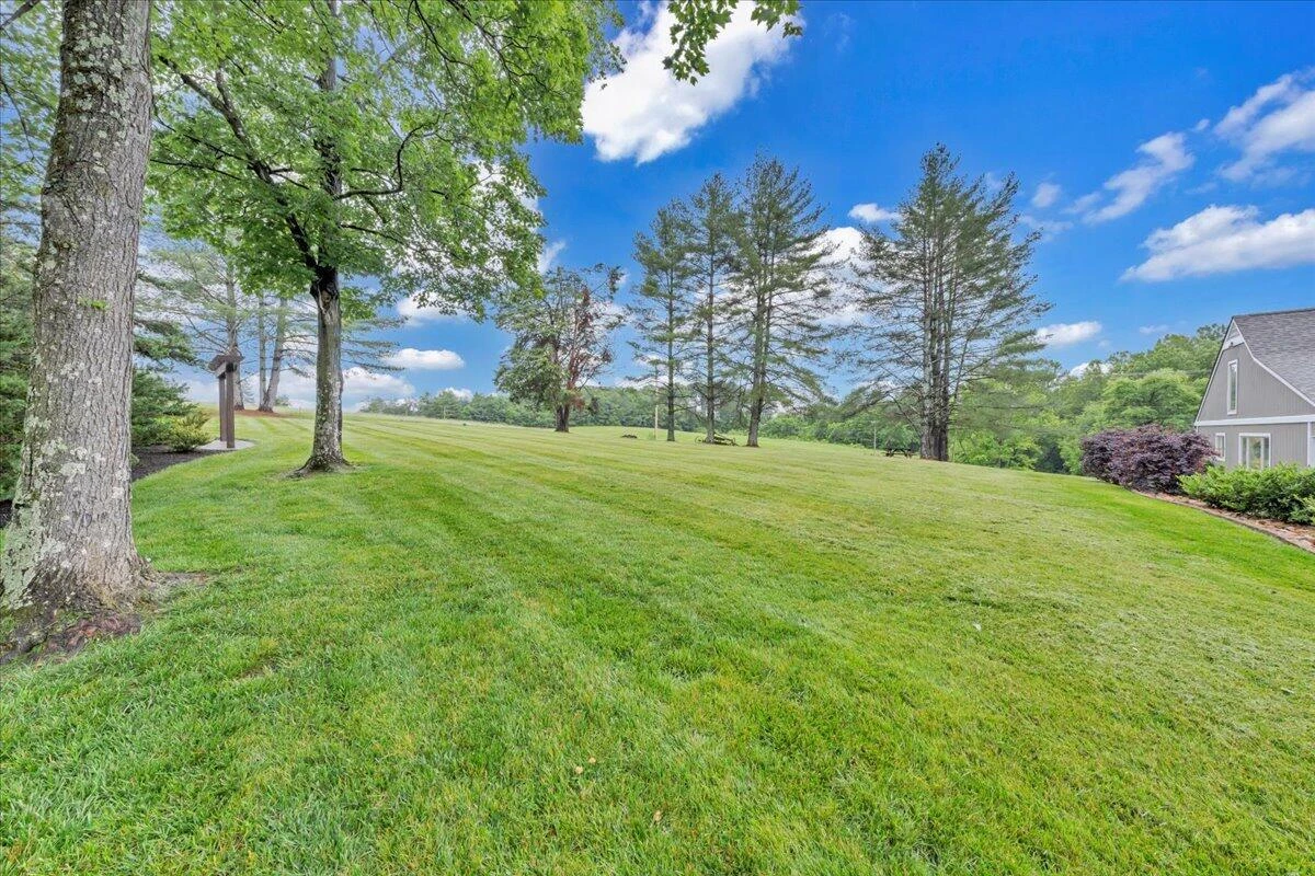 20728 Virgil H Goode Hwy - Photo 73