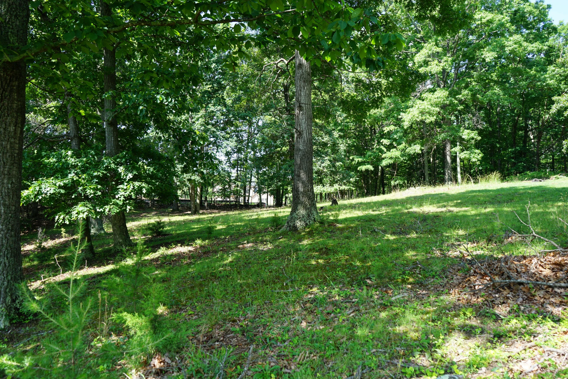 0 Blue Ridge DR - Photo 2