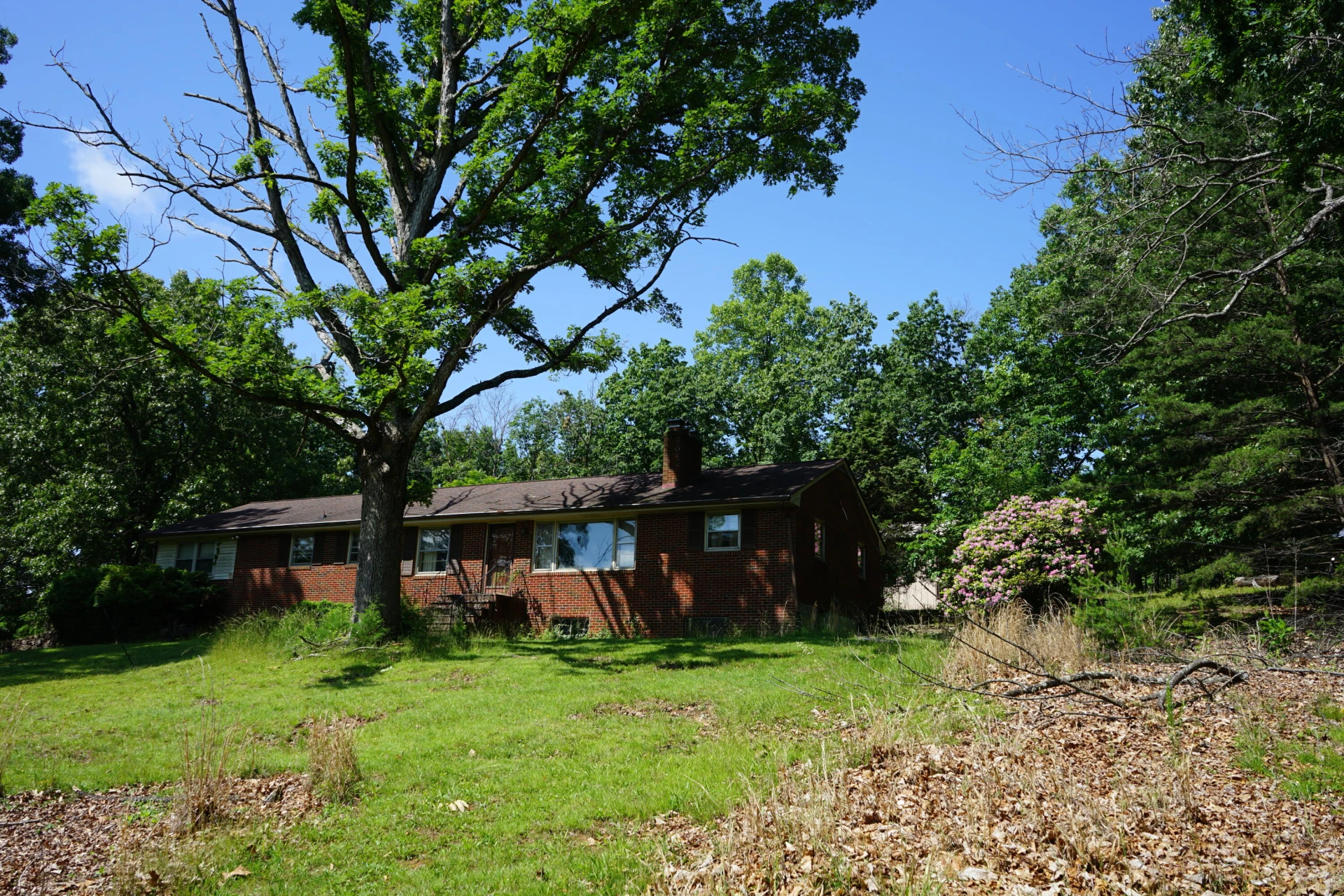 891 Blue Ridge DR - Photo 2