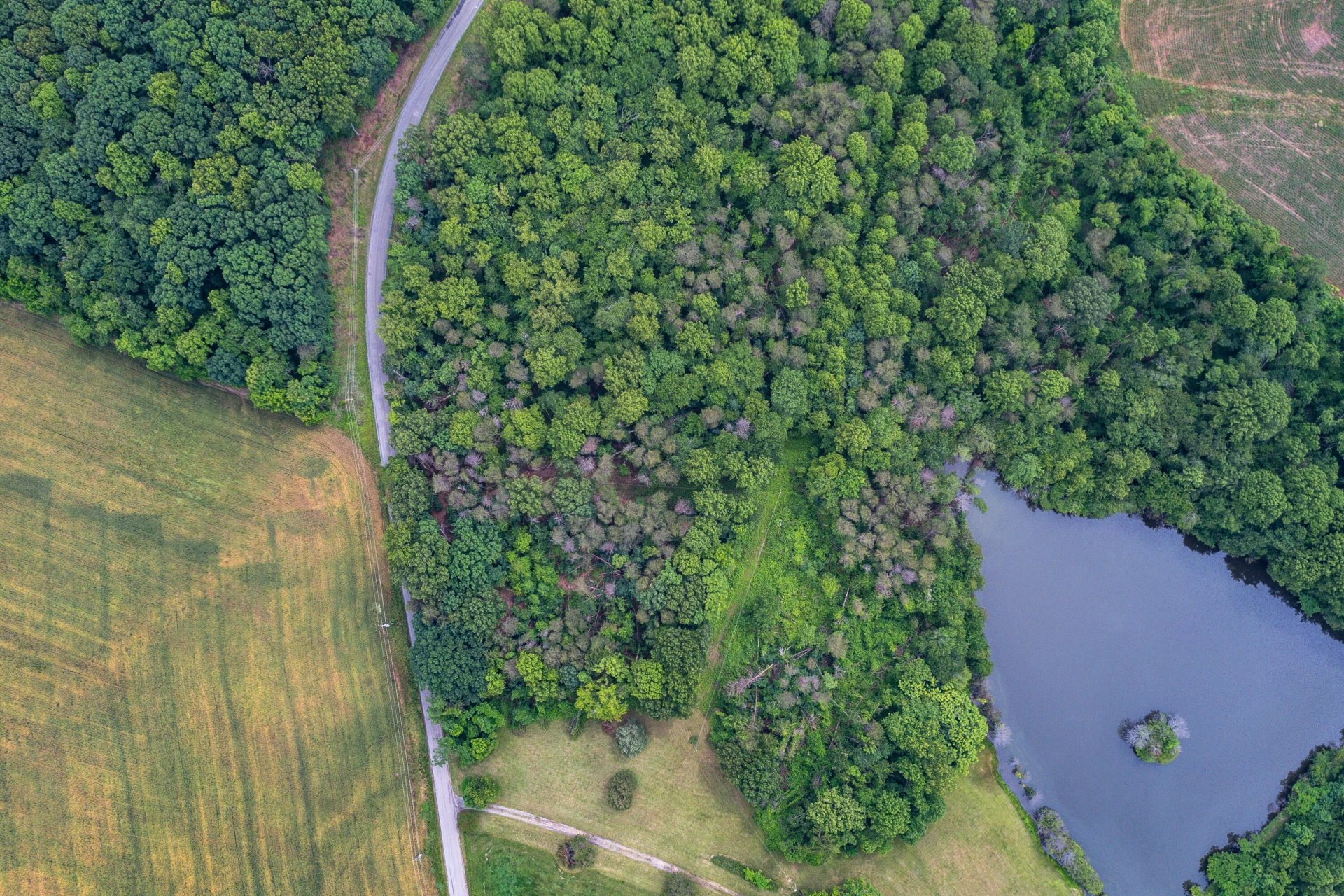 3801 Otter Hill RD - Photo 26