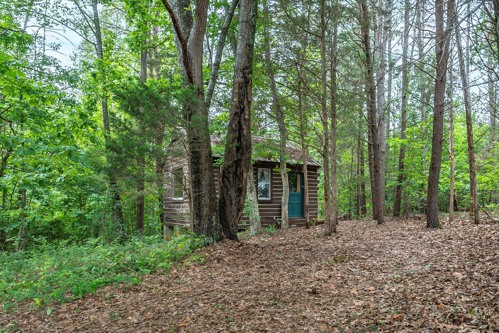 3801 Otter Hill RD - Photo 6