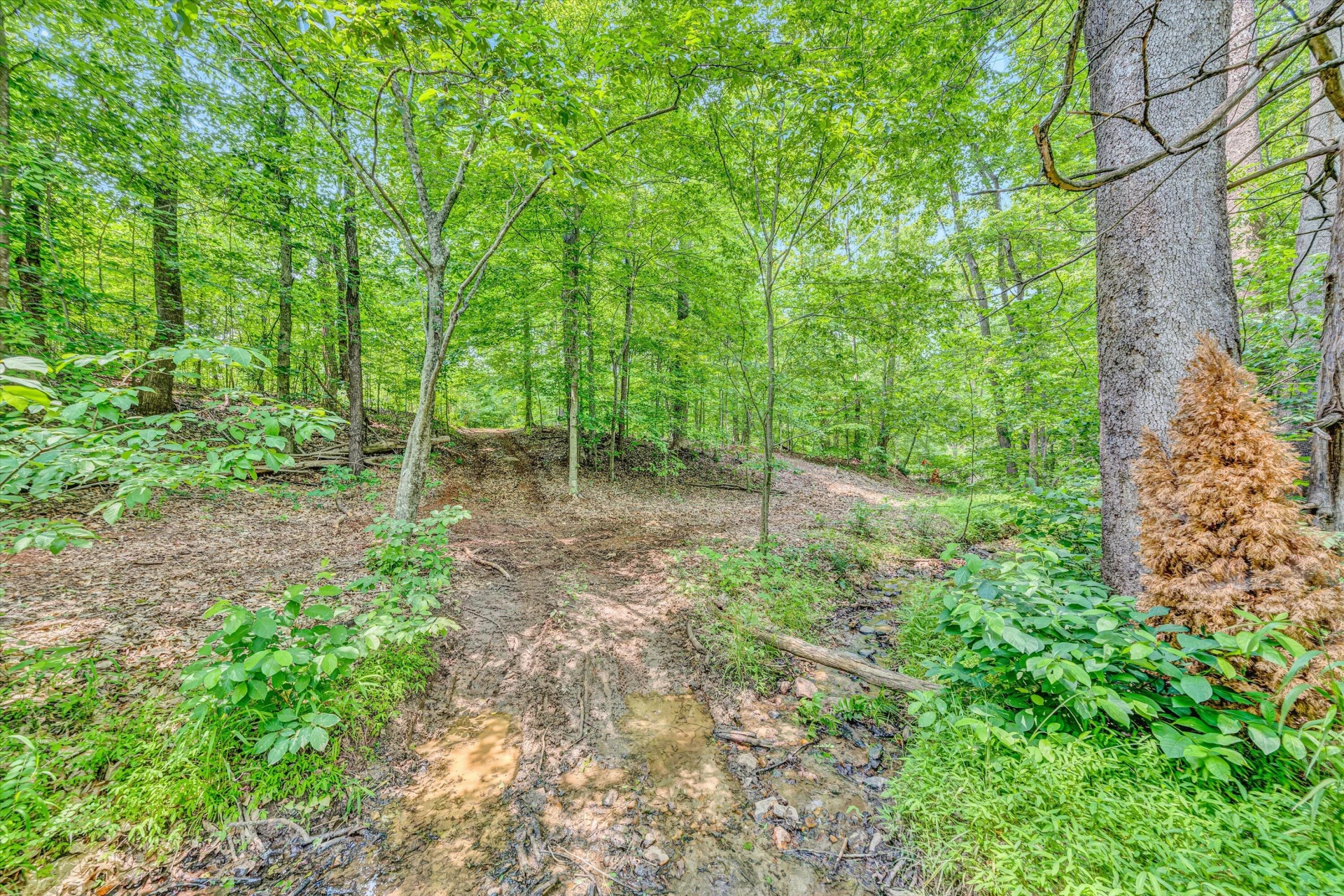 Tract C Clover Creek RD - Photo 10