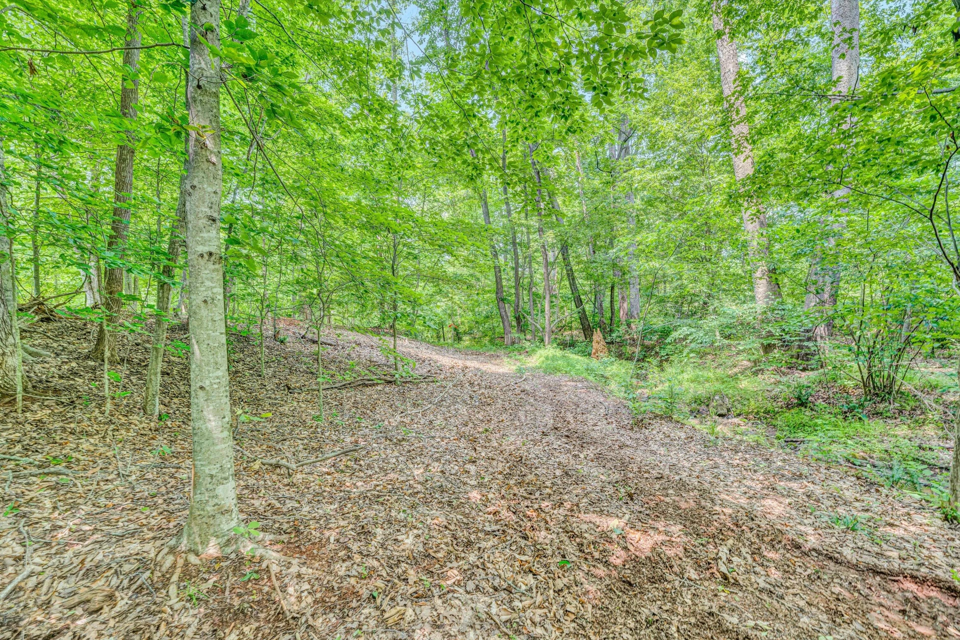 Tract C Clover Creek RD - Photo 11