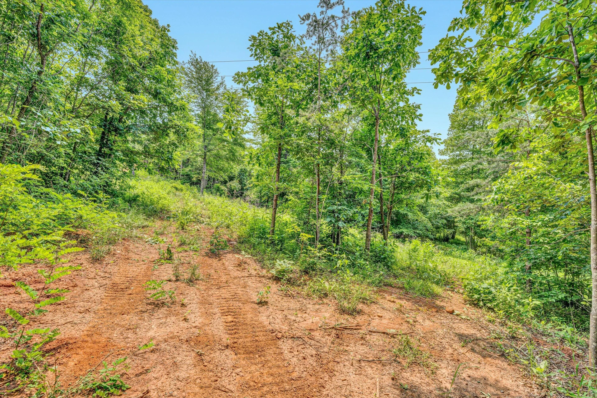 Tract C Clover Creek RD - Photo 12