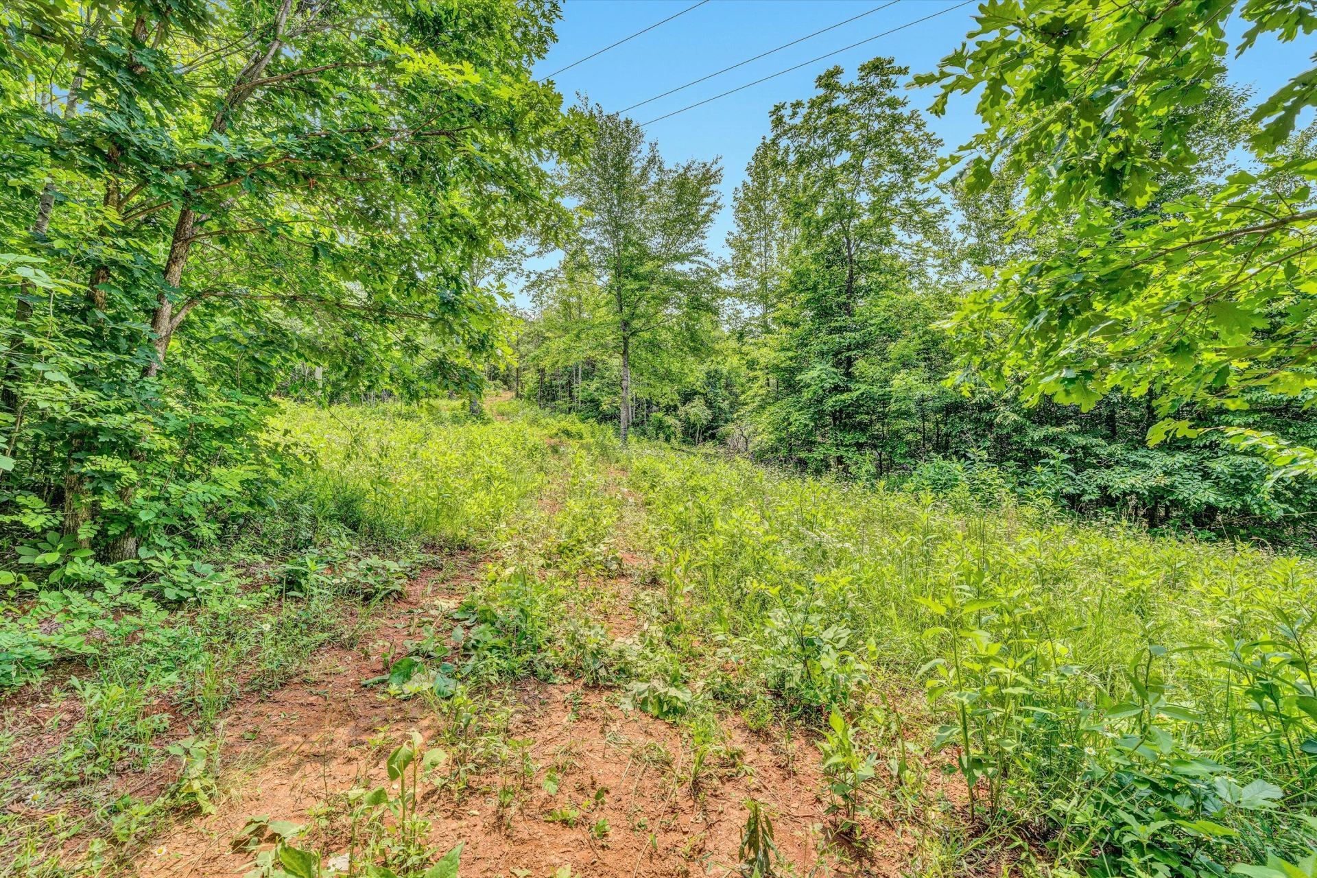 Tract C Clover Creek RD - Photo 13