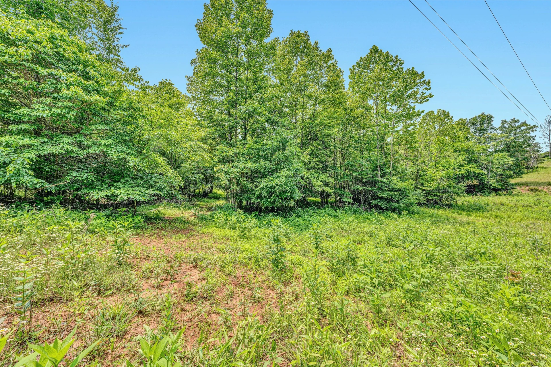 Tract C Clover Creek RD - Photo 14