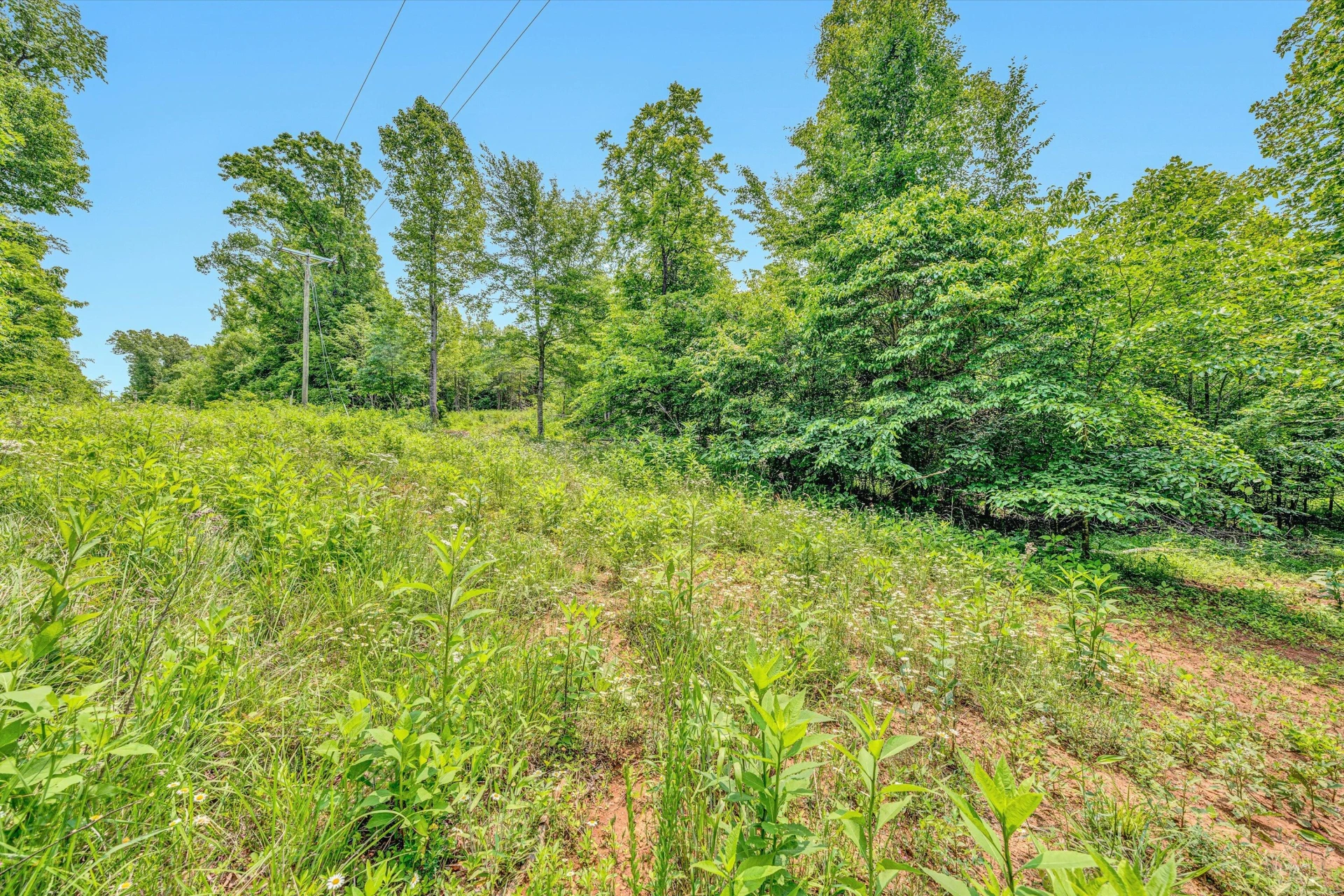 Tract C Clover Creek RD - Photo 15