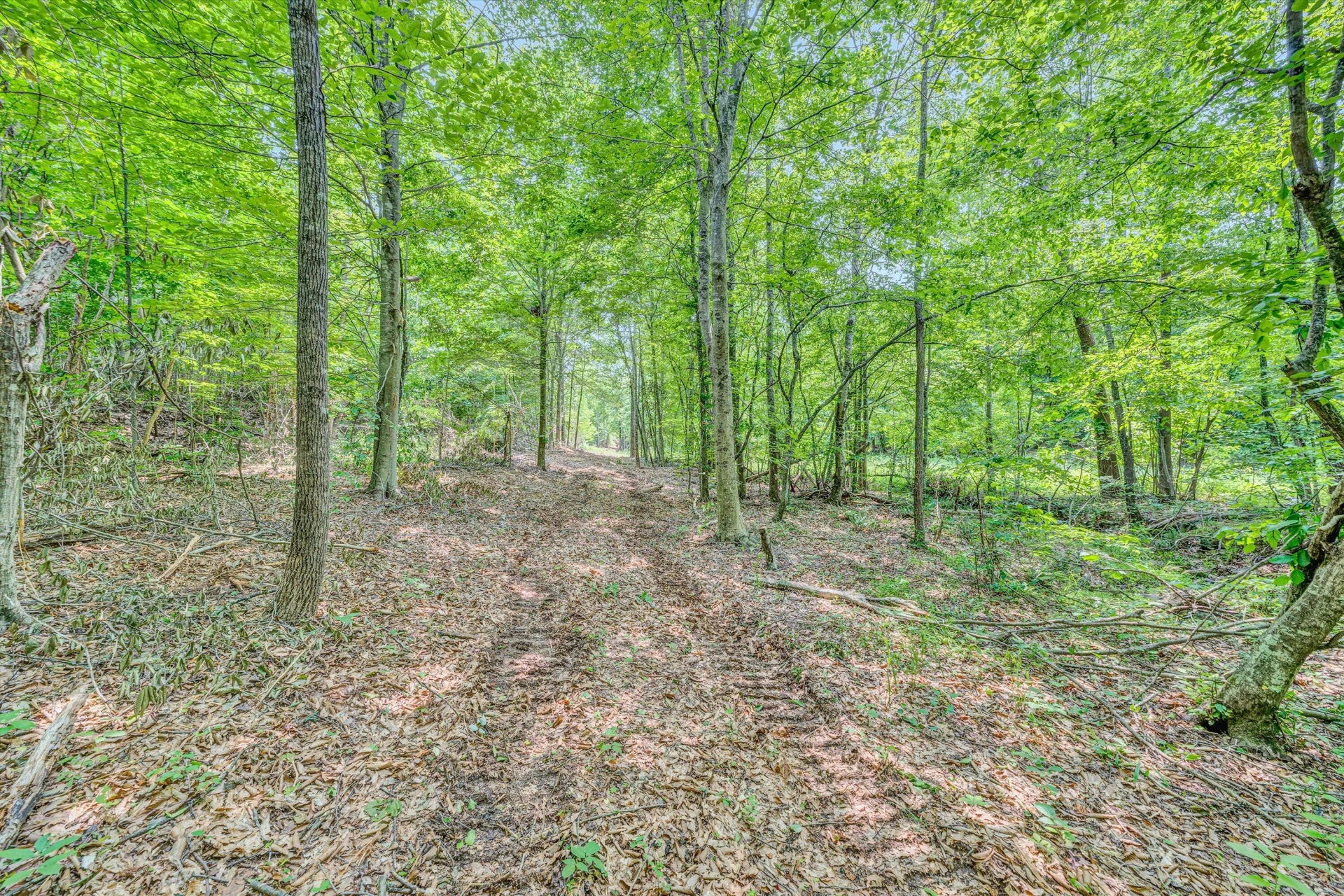 Tract C Clover Creek RD - Photo 16