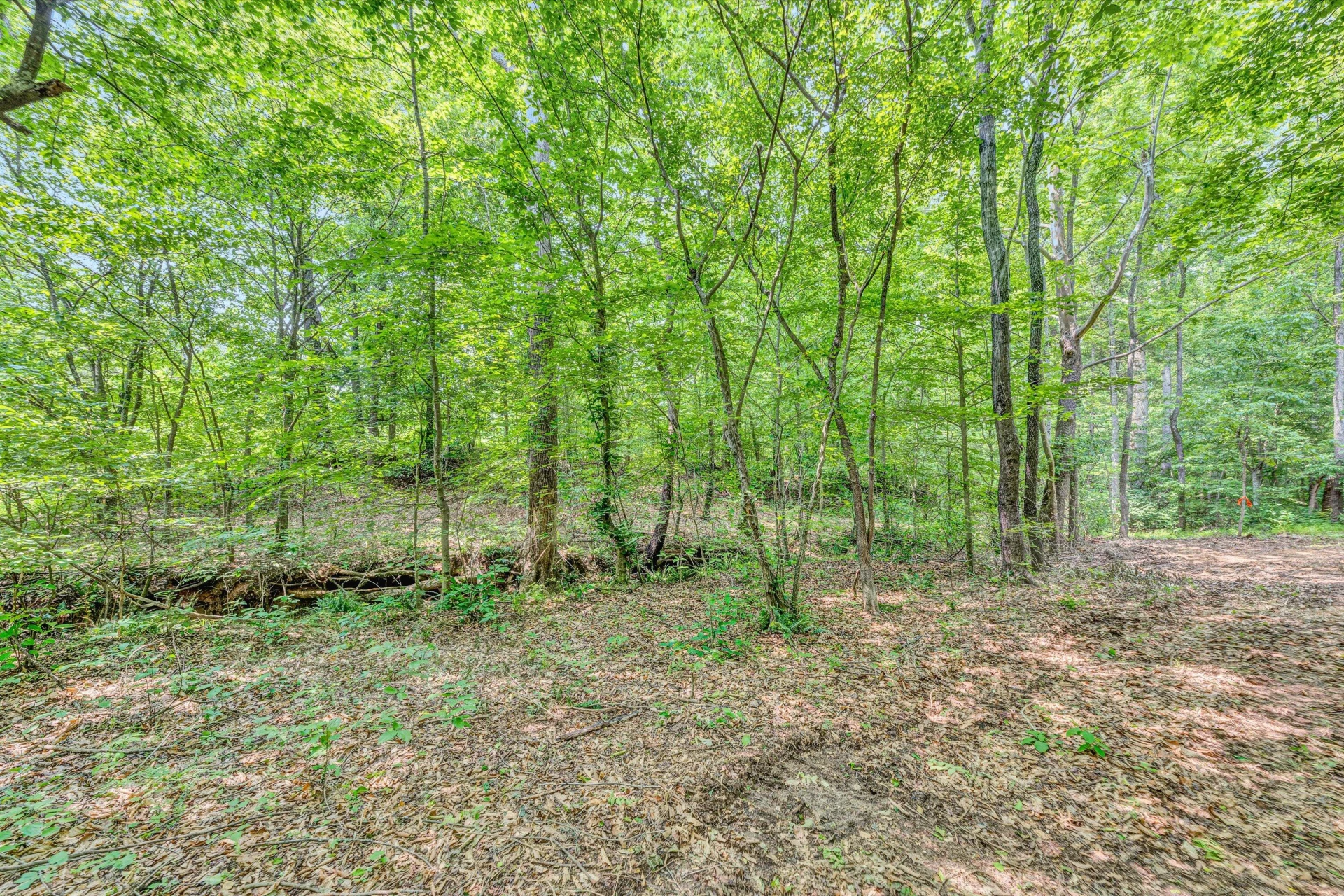 Tract C Clover Creek RD - Photo 17
