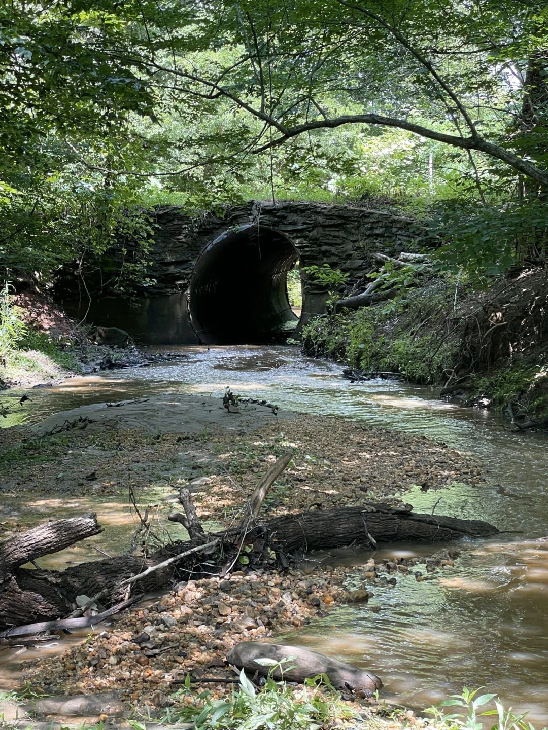 Tract C Clover Creek RD - Photo 19