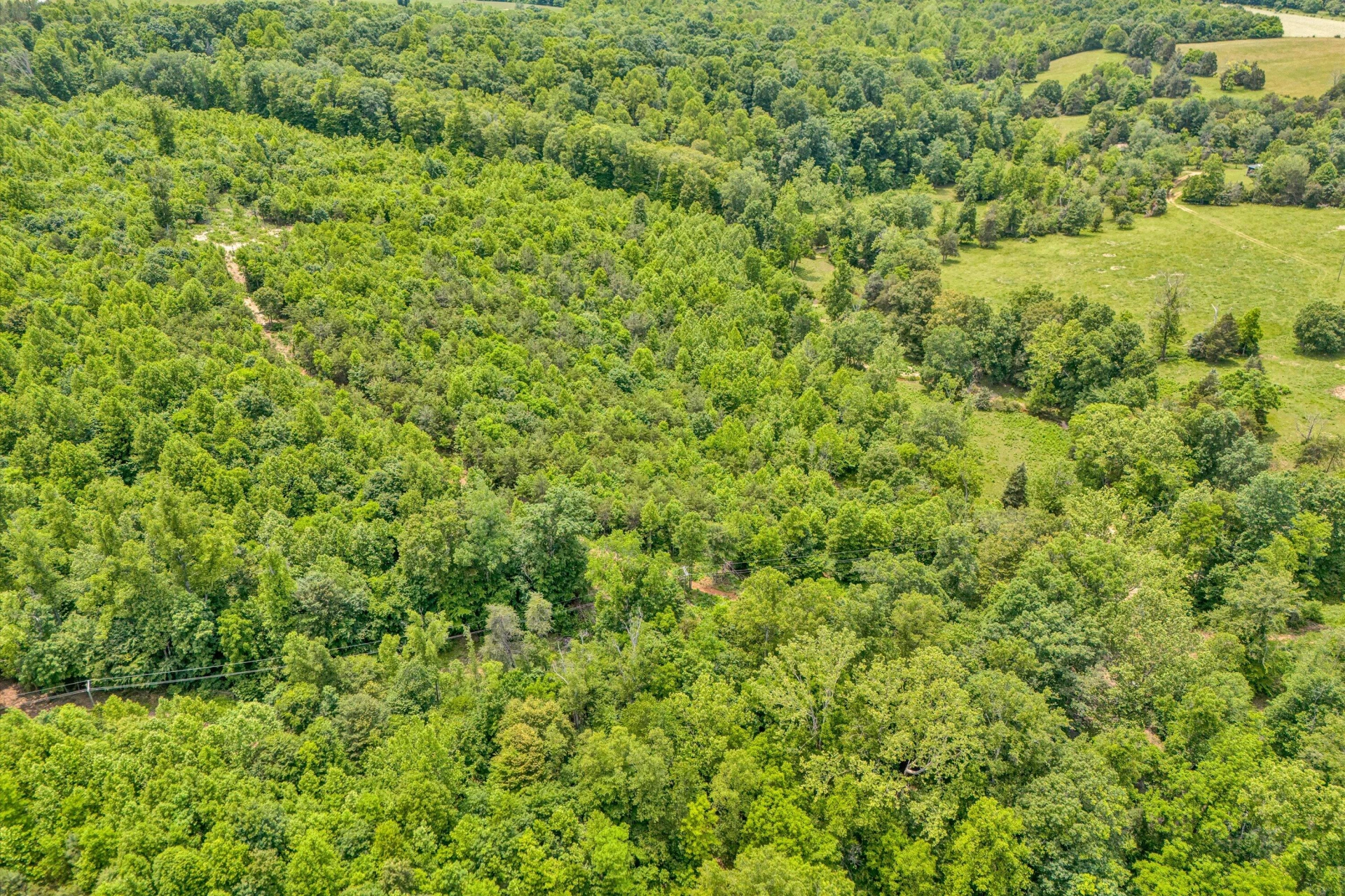 Tract C Clover Creek RD - Photo 2