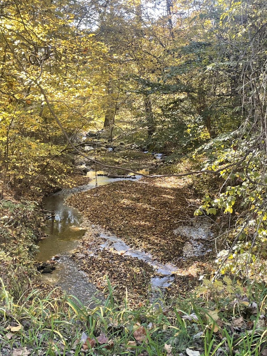 Tract C Clover Creek RD - Photo 20