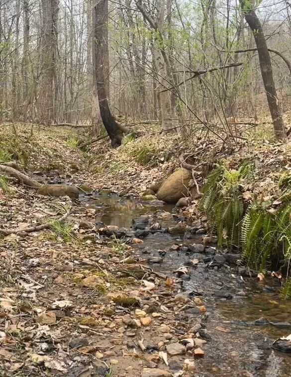 Tract C Clover Creek RD - Photo 21